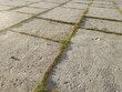 Cobblestone texture. Gray paving stones outside close-up. Design blank