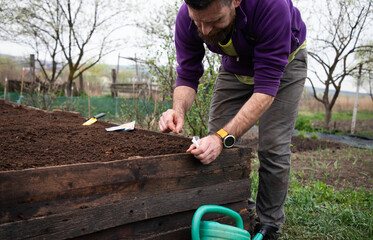 Wall Mural - planting seeds in a raised bed home gardening