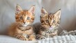 Digital artwork of two Bengal kittens with expressive eyes resembling domesticated leopards. Concept Bengal Kittens, Expressive Eyes, Digital Artwork, Domesticated Leopards