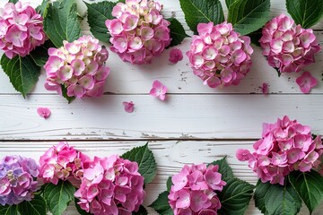 Wall Mural - pink hydrangeas flowers border frame on white wooden background top view, beautiful floral template with copy space