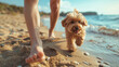 Portrait of cute fluffy dog running with male owner on sandy beach during summer holiday. Generative AI