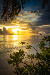 Wall Mural - amazing sunset over the sea on a tropical island