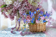 Spring still life with flowers, a bouquet of blooming lilacs and bird cherry in a vase, a basket with pansies, forget-me-nots and phlox, a beautiful postcard.