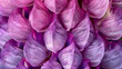 Close-up of Purple Lupin Petals in Geometric Arrangement