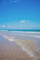 Wall Mural - waves crashing on beach 