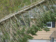 fallen tree in front of the house after storm