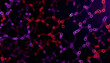 Blood Circulation Capillaries Veins Arteries Iron Cellular Wallpaper HD Generative AI