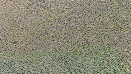 Canvas Print - Tai Sang Wai Drought Fish Ponds