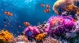 Fototapeta Uliczki - clown fish school colorful anemones purple coral reef ocean