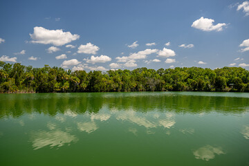 Canvas Print - crystal river, florida