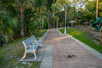 Canvas Print - crystal river, florida