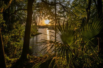 Wall Mural - crystal river, florida