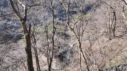 Poster - 渓谷の風景