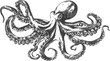 © sungedi - hand drawn octopus on white background vector illustration