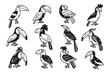 A set of twelve birds with different colors and sizes