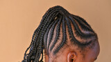 Fototapeta Konie - Close up shot of young girl with braided hair