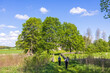 People walking on a path to a lush green tree grove