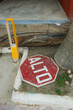 An old stop sign lies on the ground next to.a palm tree in Mexic