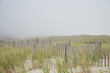 Landscape with wooden fencing in the dunes of Nauset Beach on Cape Cod