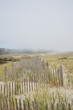 Wooden fencing on misty dunes at Nauset Beach on Cape Cod