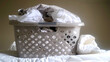 Laundry basket filled with white linens on a bed
