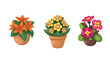 Set of flowers in pots on a white background, hand drawing vector in cartoon.