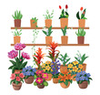  flowers are on the shelves. Large set of indoor plants and flowers. Set of flowers in pots on a white background, hand drawing vector in cartoon.