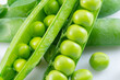 Perfect green peas in pea pods close up. Food background.