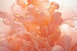 Ethereal clouds of peach and coral ink blend seamlessly in water, creating a captivating abstract scene. Ideal for use in graphic design and visual art as an abstract background.