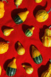 Pumpkins pattern, decorative diverse pumpkin, squash, patisson on red cloth background top view. Autumn, fall, halloween holiday concept. Minimal autumnal flat lay with sunlight shadows.