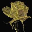 Contemporary Yellow Line Art of a Full Bloom Rose