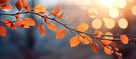 The branches adorned with fallen leaves creating a charming copy space image