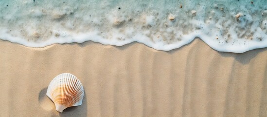 Sticker - A seashell and beach sand pictured from above with ample space for text