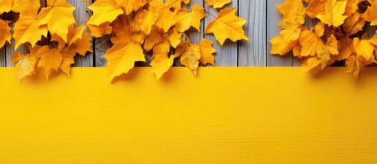 Wall Mural - A vibrant backdrop of yellow painted wood with autumn leaves scattered creating a copy space image