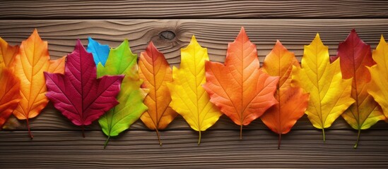Wall Mural - Top view of colorful plastic autumn leaves arranged on an old wooden floor creating a vibrant and eye catching background perfect for creating a captivating copy space image