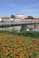 Poster - Drau und Schlossberg in Ptuj, Slowenien