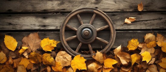 Wall Mural - There are spinners amidst the yellowing autumn leaves on the dark brown natural wooden boards as a background surface Copy space image