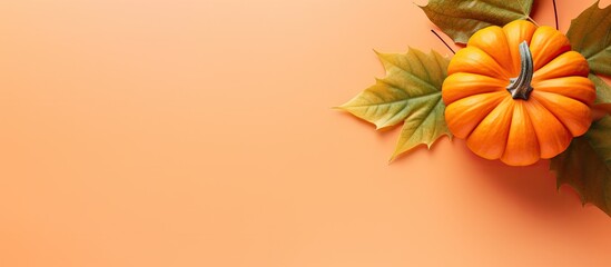 Wall Mural - top view copy space image of a pumpkin and leaf creatively arranged on a dual tone white and orange 