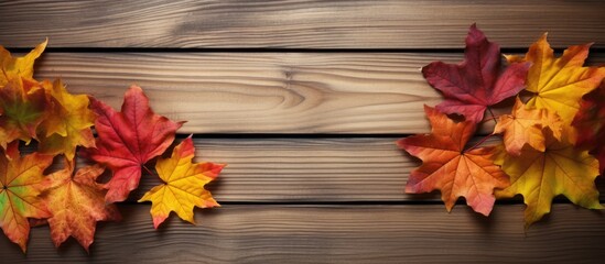 Wall Mural - Autumn colored maple leaves have been arranged along the wooden boards creating a border The image offers copy space