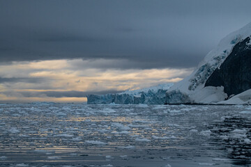 Wall Mural - Glacier in Antarctica