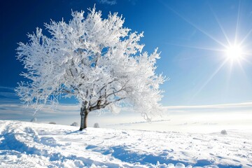 Aufkleber - Stark white branches of a single tree stand out against a deep blue sky and dazzling sunlight on a snowy field