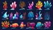 An underwater seaweed, coral reef, and fish cartoon illustration set. Brightly colored marine plants and animals. Tropical colored creatures in the ocean.