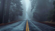 Road in the fog. 