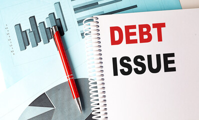 Poster - DEBT ISSUE text on notebook on chart background