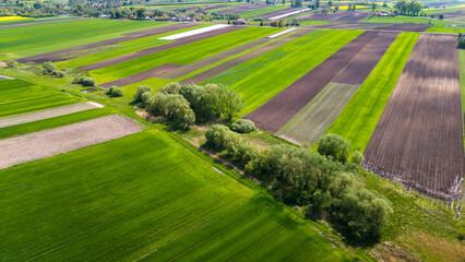 Wall Mural - Colorful agriculture farmland and crop fields. Aerial drone view