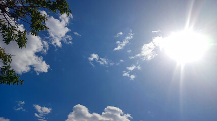 blue spring sky and sun, clouds, through tree branches with green leaves, nature photo, plants