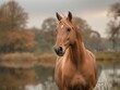 A brown horse is standing in front of a body of water. The horse is looking directly at the camera, and the scene has a peaceful and serene mood