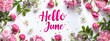 Abstract background with flowers frame around. Hello June -  modern calligraphy lettering. Summer concept background.
