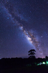 Wall Mural - landscape with milky way, night sky with stars and silhouette of tree
