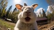 Close-up selfie portrait of a rabbit.